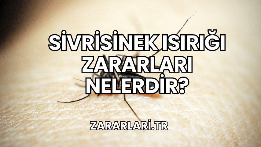 Sivrisinek Isırığı Zararları Nelerdir?