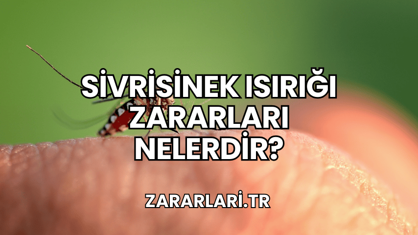 Sivrisinek Isırığı Zararları Nelerdir?