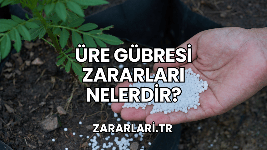 Üre Gübresi Zararları Nelerdir?