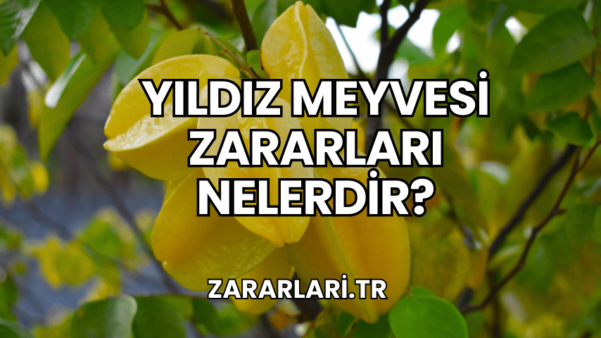 Yıldız Meyvesi Zararları Nelerdir?