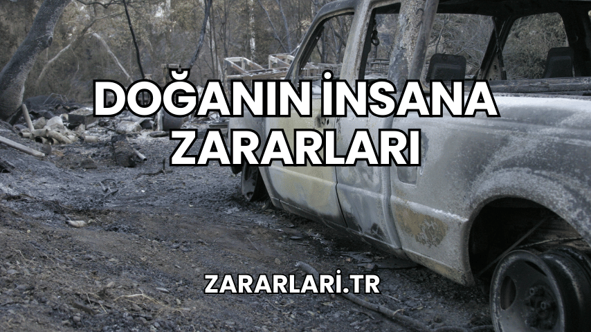 Doğanın İnsana Zararları