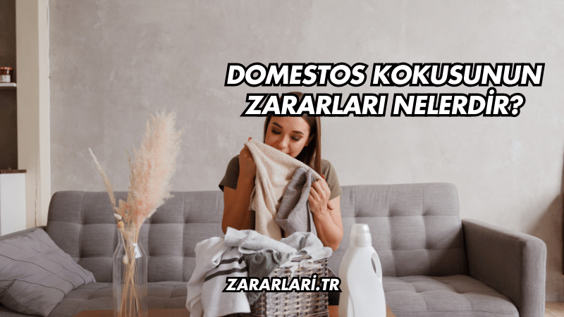 Domestos Kokusunun Zararları Nelerdir?