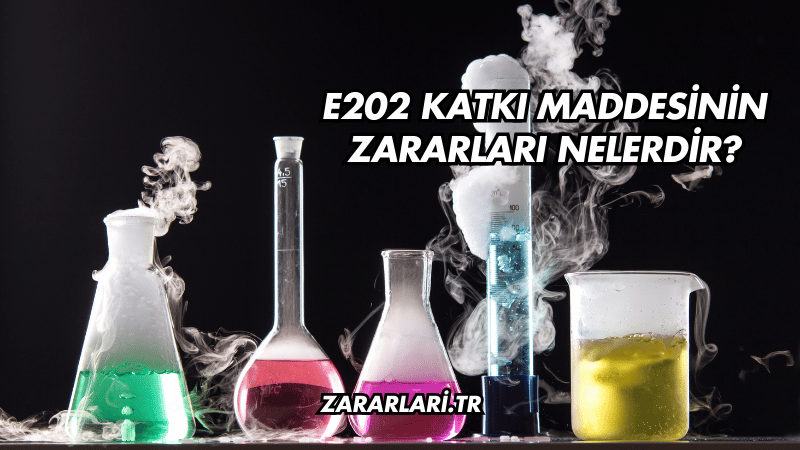 E202 Katkı Maddesinin Zararları Nelerdir?