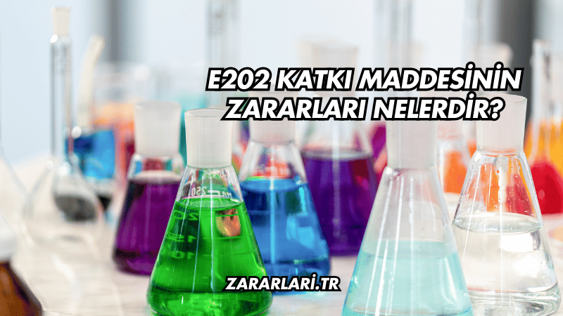 E202 Katkı Maddesinin Zararları Nelerdir?