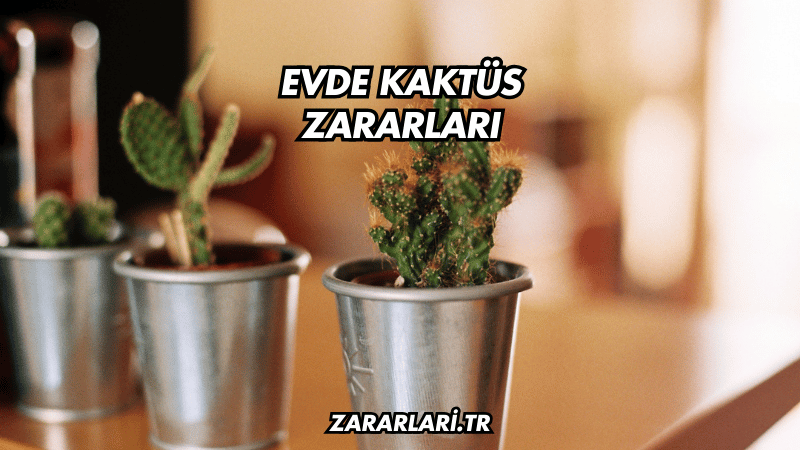 Evde Kaktüs Zararları