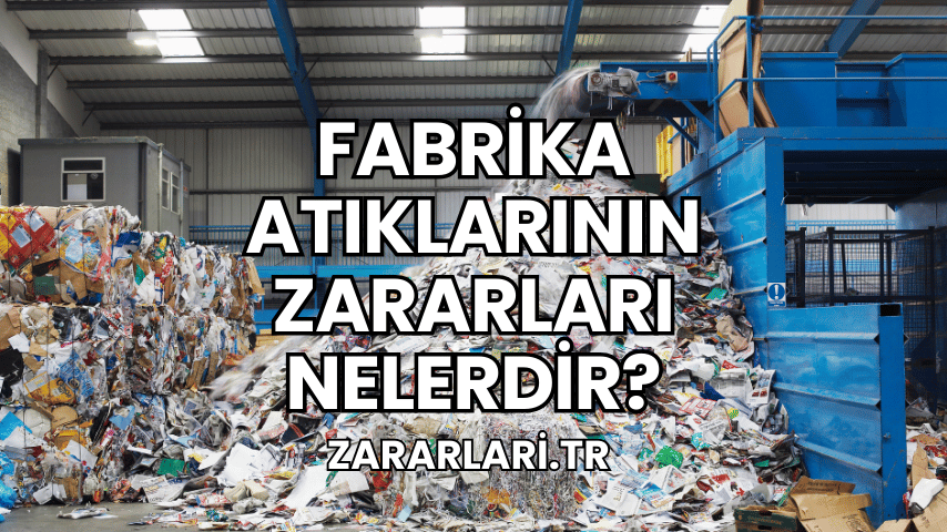 Fabrika Atıklarının Zararları Nelerdir?