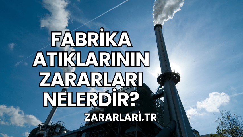 Fabrika Atıklarının Zararları Nelerdir?