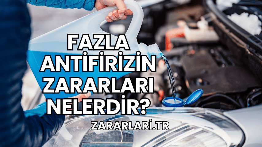 Fazla Antifirizin Zararları Nelerdir?