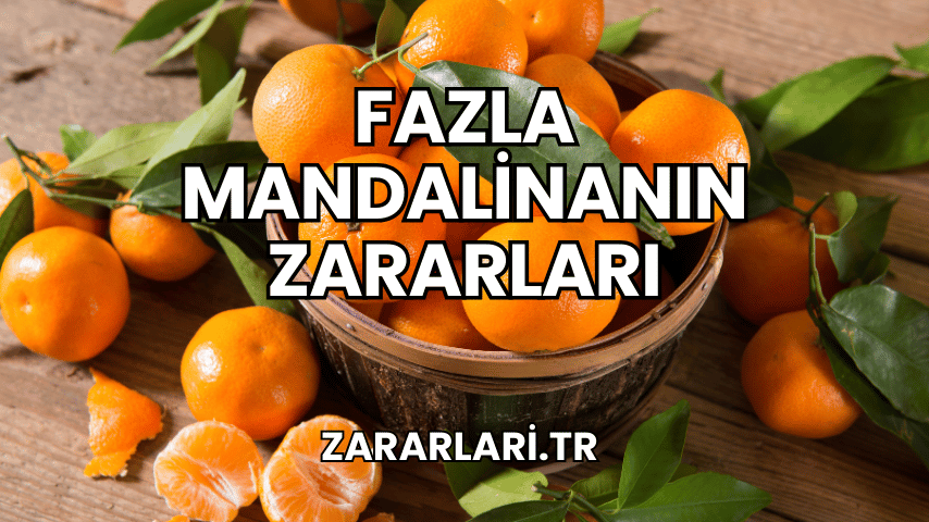 Fazla Mandalinanın Zararları