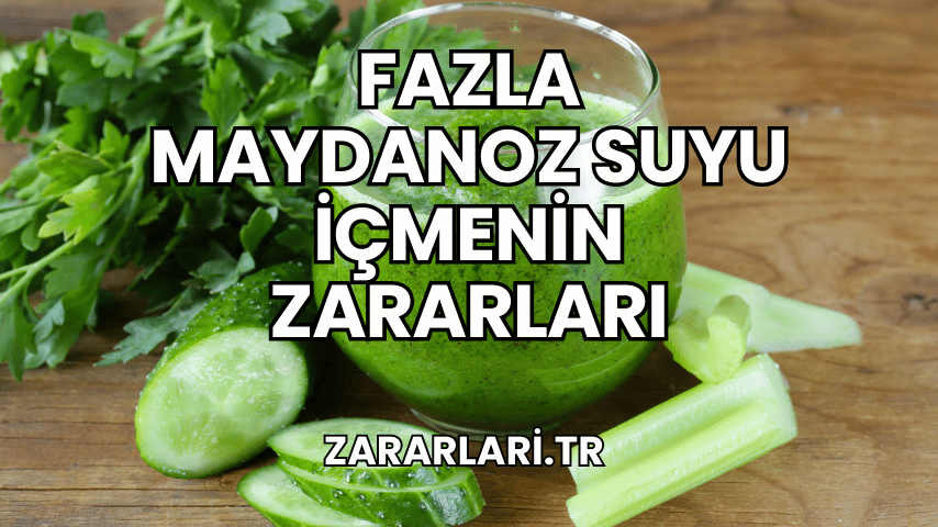 Fazla Maydanoz Suyu İçmenin Zararları