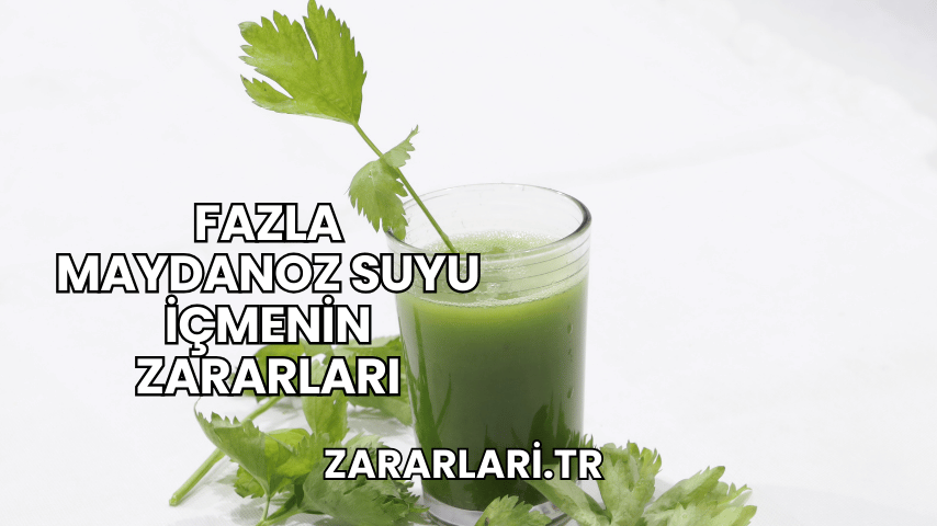 Fazla Maydanoz Suyu İçmenin Zararları