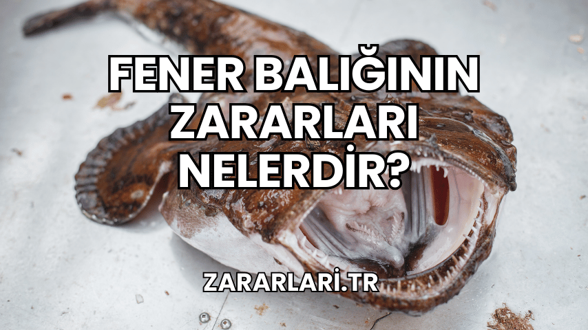 Fener Balığının Zararları Nelerdir?