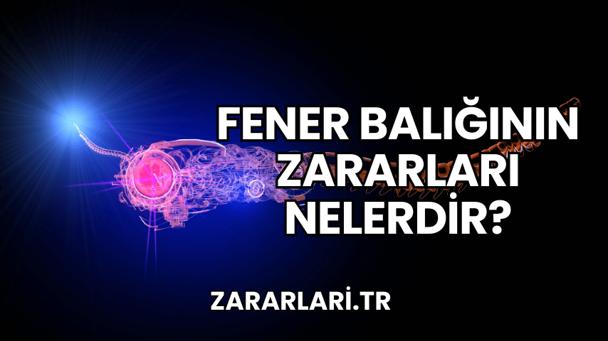 Fener Balığının Zararları Nelerdir?