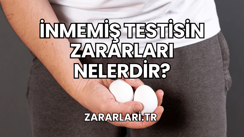 İnmemiş Testisin Zararları Nelerdir?