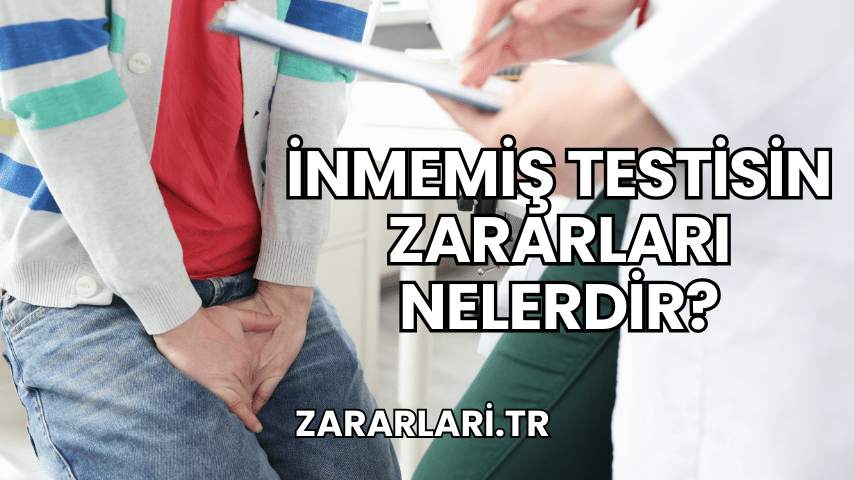 İnmemiş Testisin Zararları Nelerdir?