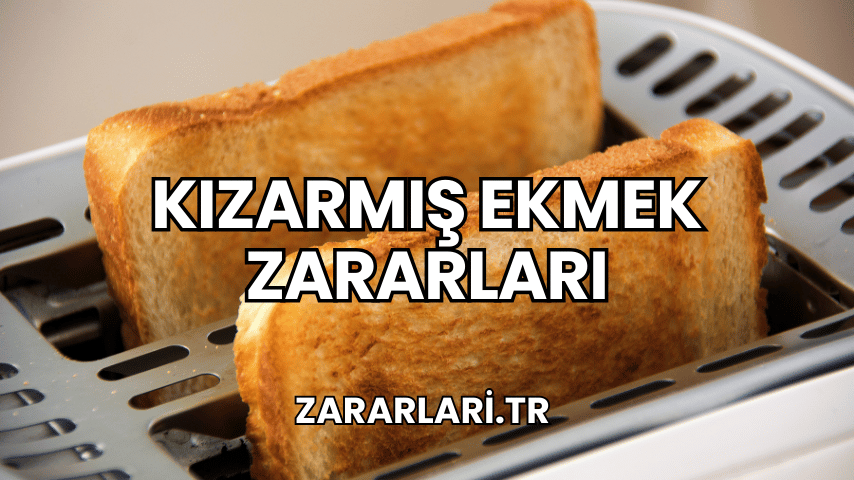 Kızarmış Ekmek Zararları