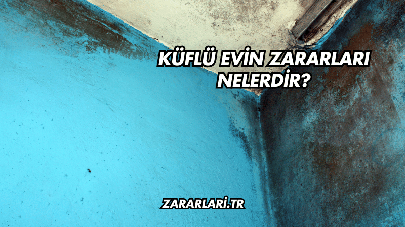 Küflü Evin Zararları Nelerdir?