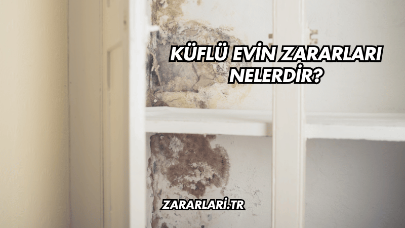 Küflü Evin Zararları Nelerdir?