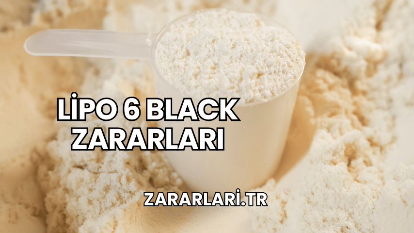 Lipo 6 Black Zararları