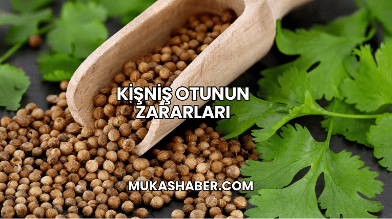 Kişniş Otunun Zararları